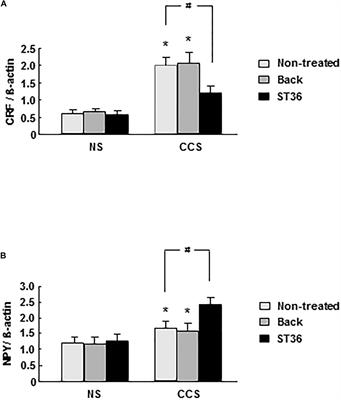 Electro-Acupuncture Attenuates Chronic Stress Responses via Up-Regulated Central NPY and GABAA Receptors in Rats